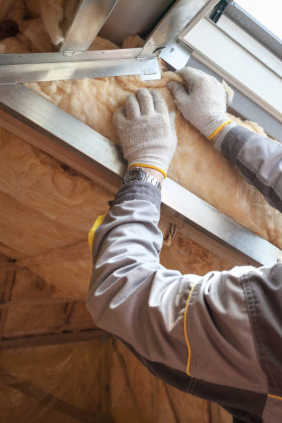 Best Commercial Insulation in Cass City, MI
