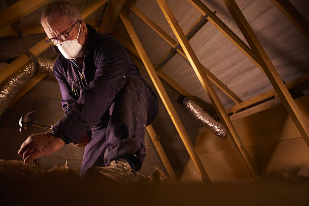 Best Insulation Materials and Products in Cass City, MI